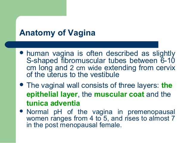 vagina absorbtion fluids Teen volunteer oppertunties in louisville kentucky
